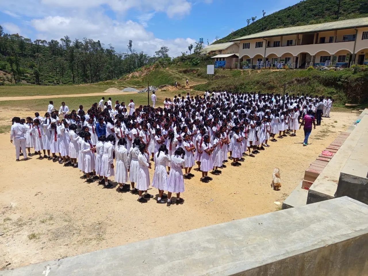 Person in a seated yoga stretch