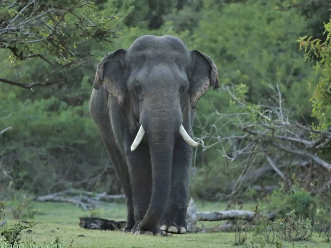 Woman stretching in a studio